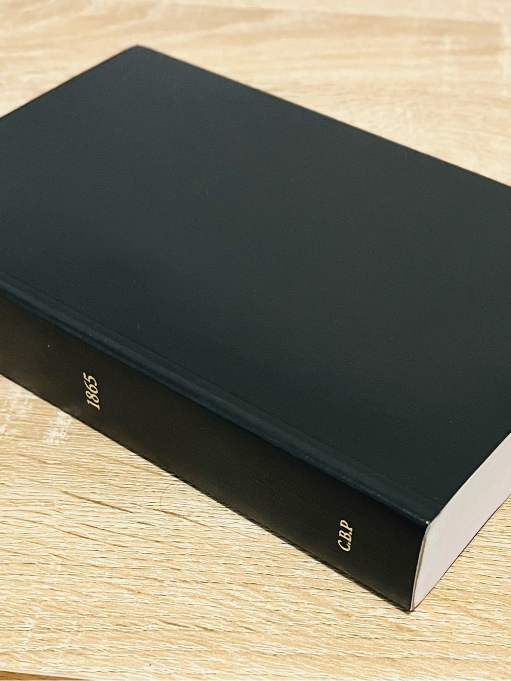 Santa Biblia Reina Valera 1865 Cubierta Negra Vinilo - Spanish Holy Bible *NEW*